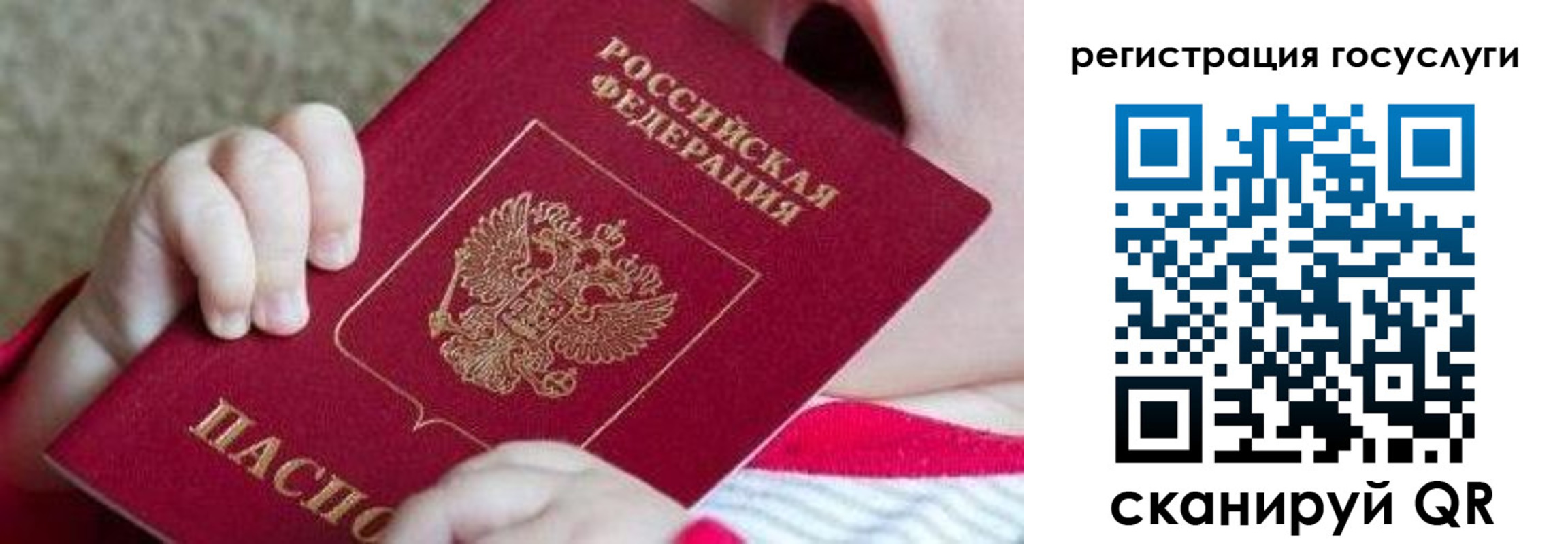 регистрация для школы в Александровске-Сахалинском